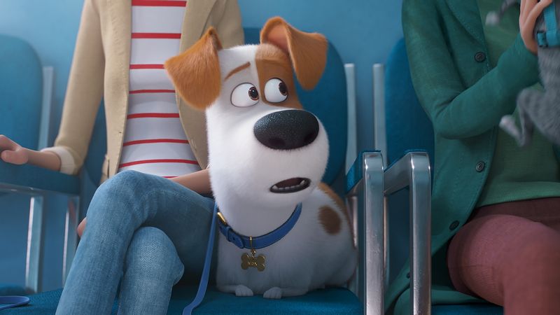 10 Beloved Movie Dogs That Stole the Show (and Our Hearts) Max from