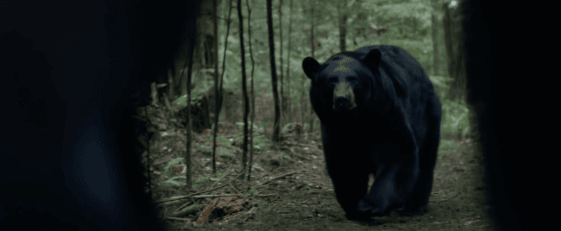 21 Films That Capture the Vibe of The Gorge Backcountry